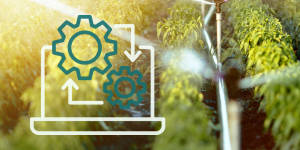 Irrigation Automation